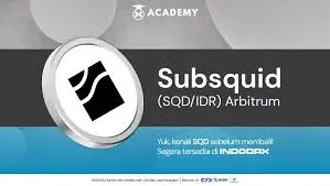 Subsquid